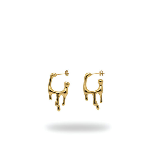 Shine Earrings - 18 Karat