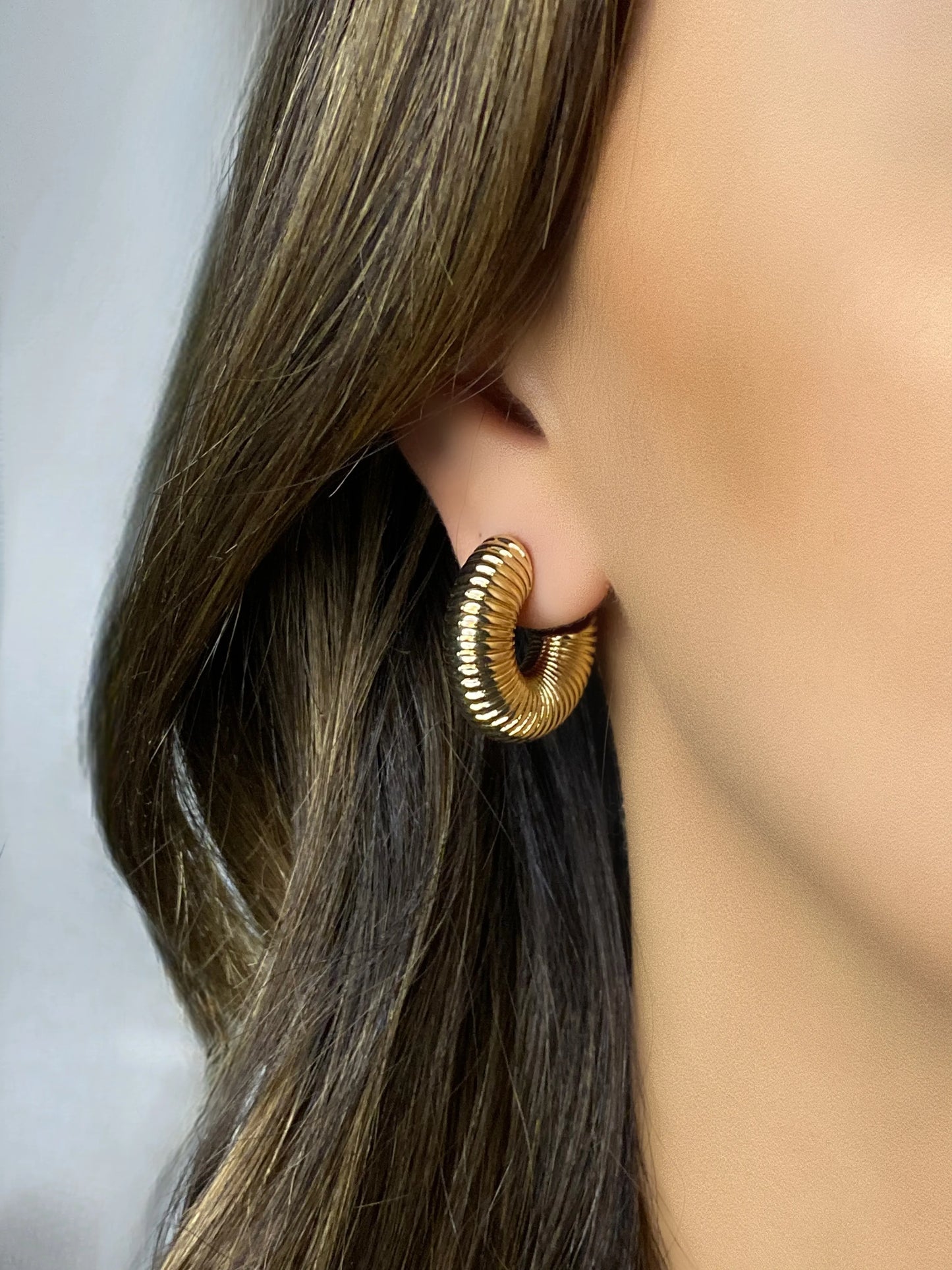 Shell Earrings - 14 carat